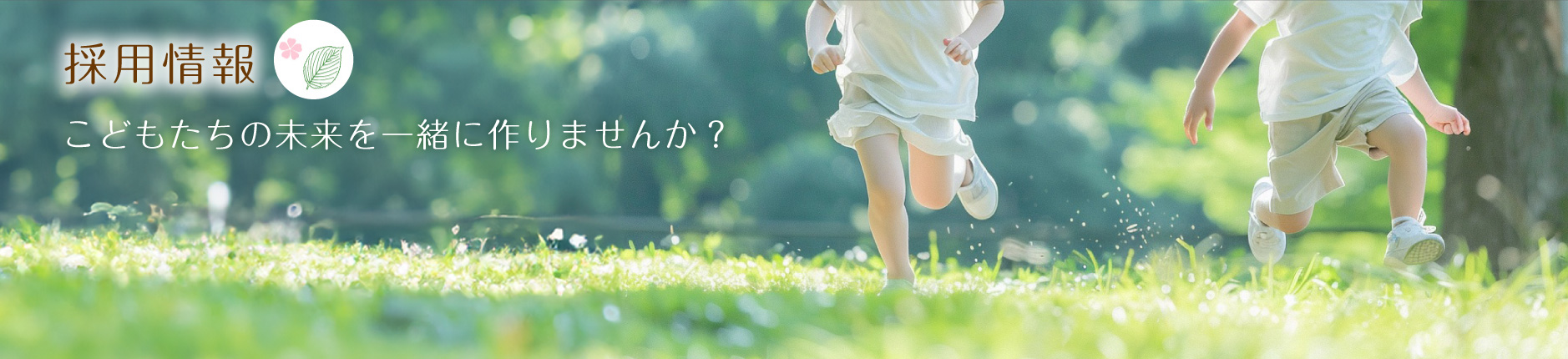 採用情報